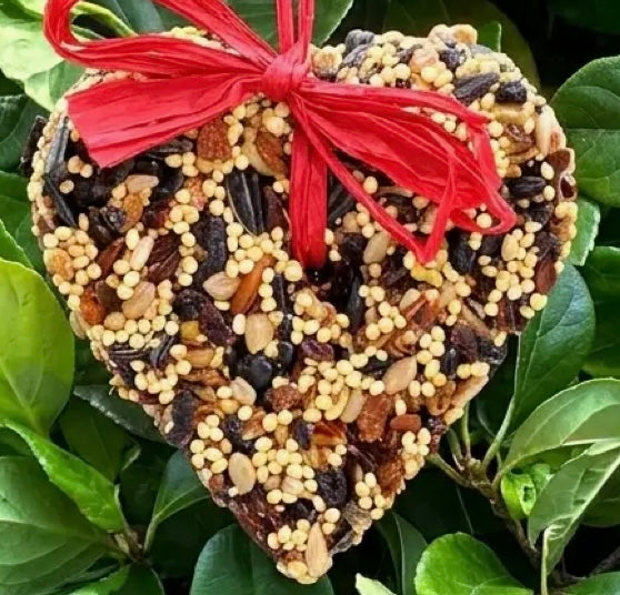 222  Little Heart Seed Ornament