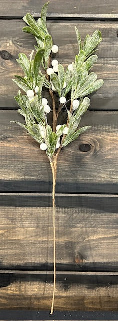 245  Frosted Mistletoe Spray 24"