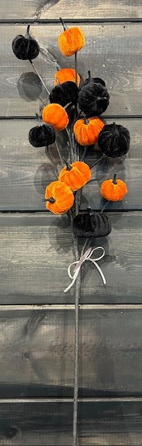 225. Velvet Pumpkin BL/OR