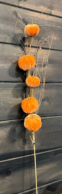 225. Velvet Pumpkin Stem