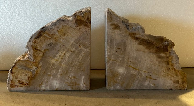157  Petrified Wood Bookends