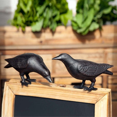 104. Cast Iron Crow