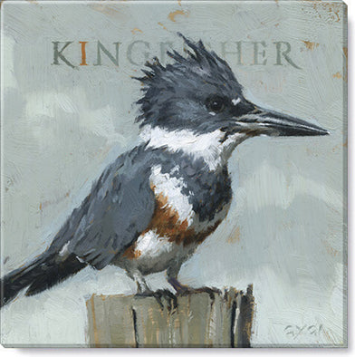 227. Kingfisher 6x6. DGHC