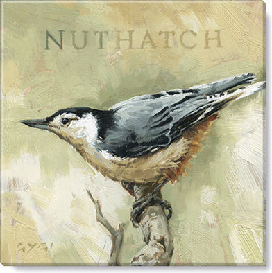 227 . Nuthatch Giclee 5 x 5