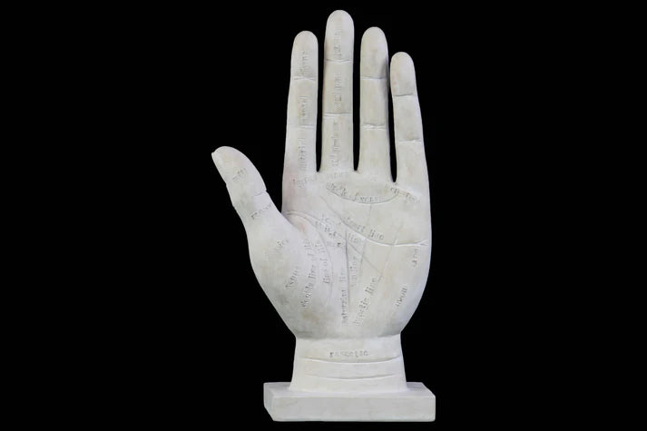 102. Palmistry Figure