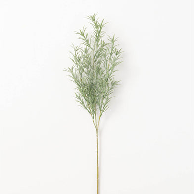 101. Rosemary