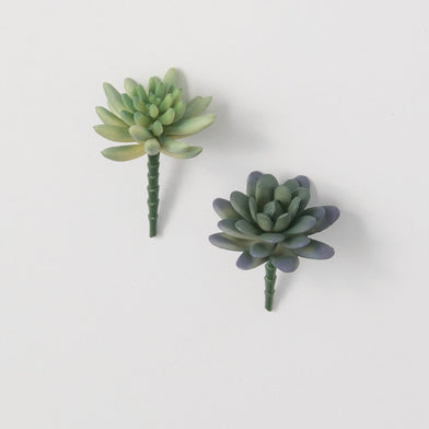 101. Succulent Picks 2/A