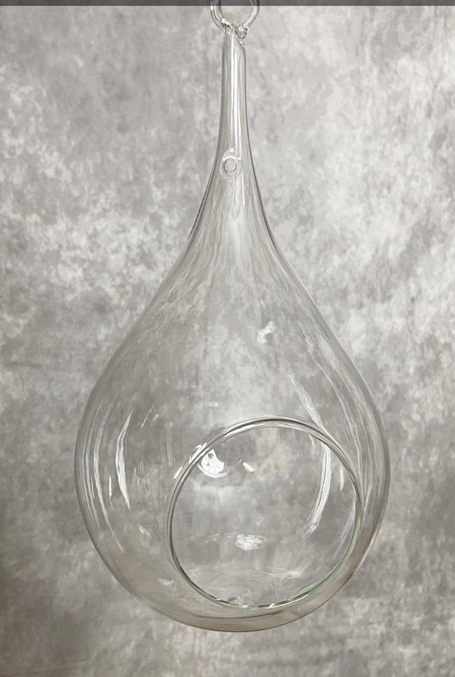 254  Hanging Glass Terrarium Lg