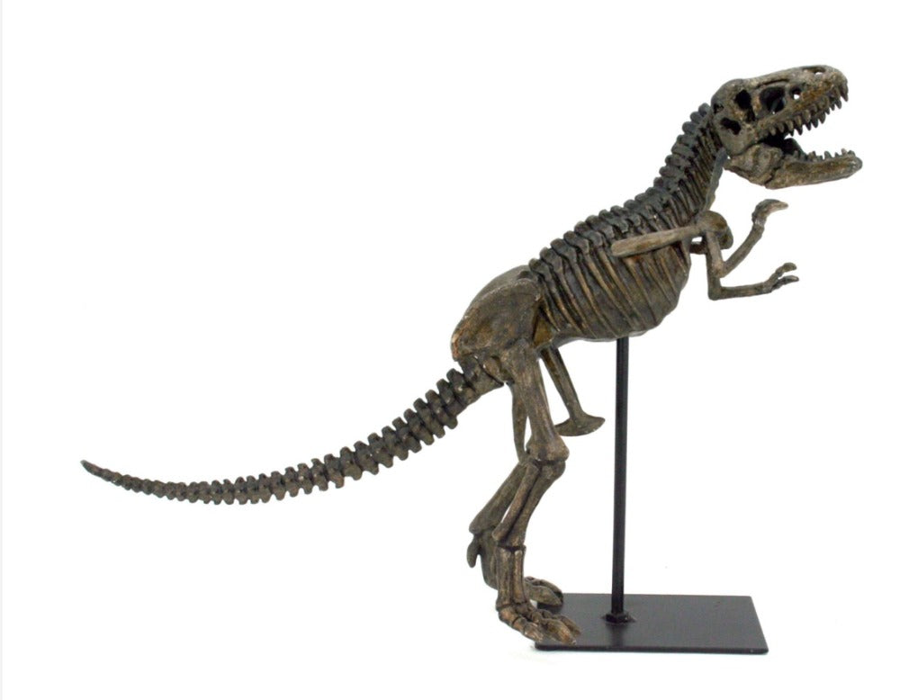 108.  T Rex on stand