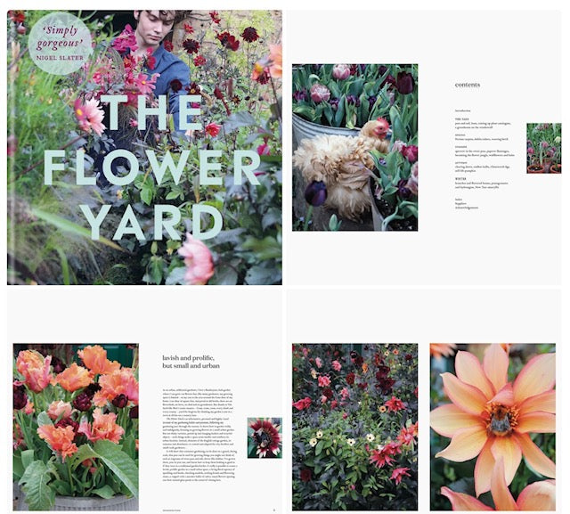 252  The Flower Yard