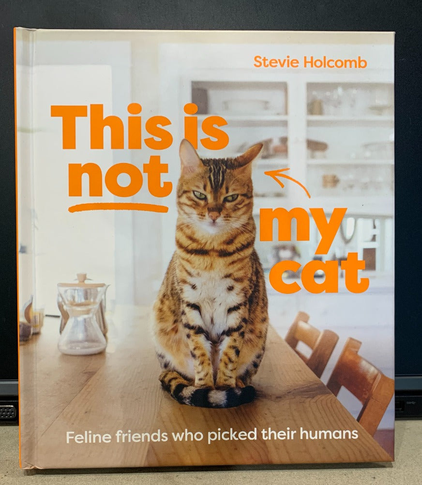 126. This Is Not My Cat by Stevie Holcomb