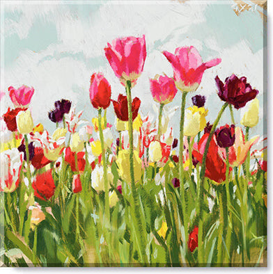 227. Tulip Field Giclee 5 x 5