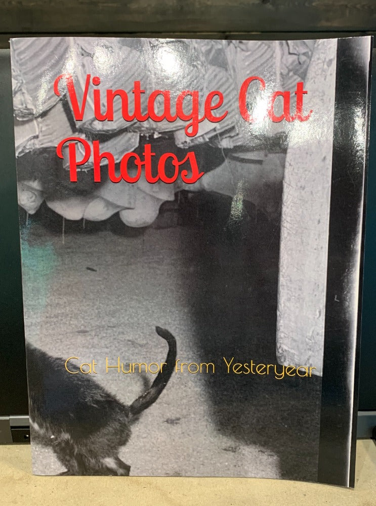 127. Vintage Cat Photos