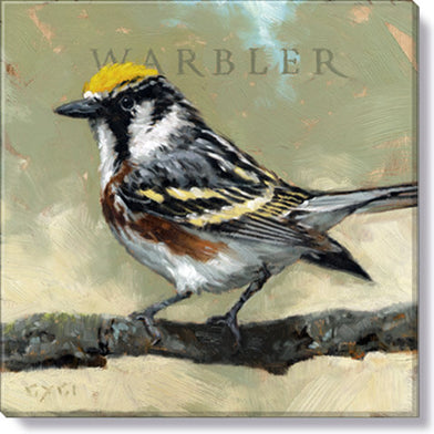 101. Warbler Geclee 5 x 5