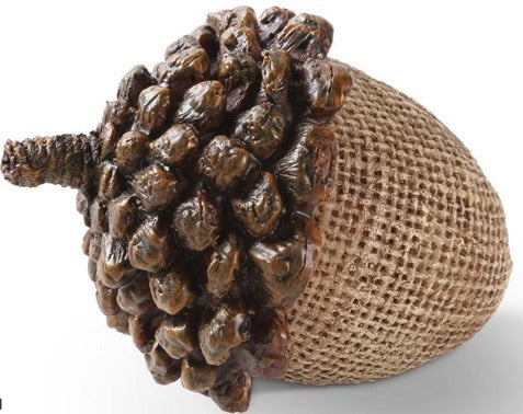 225. Acorns 3.5