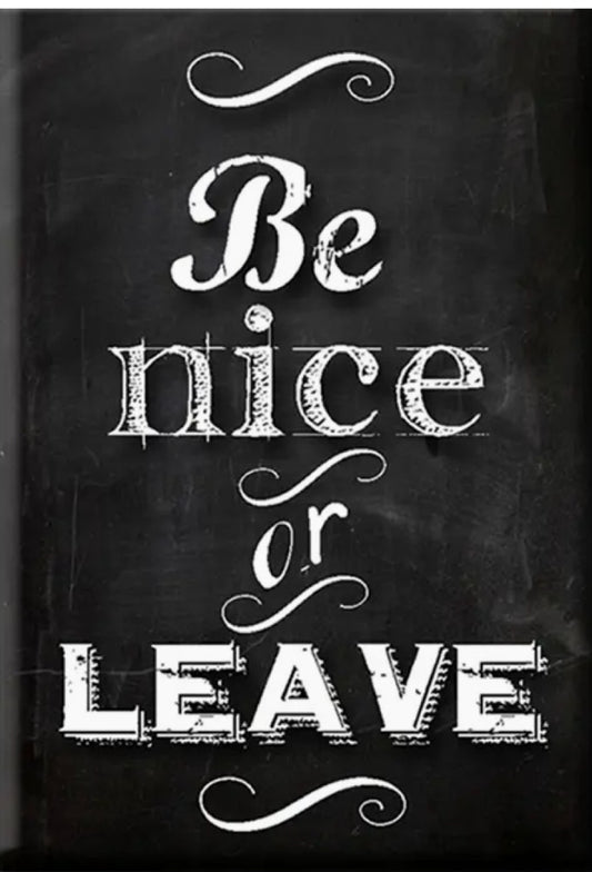 125.  Be Nice or Leave Magnet