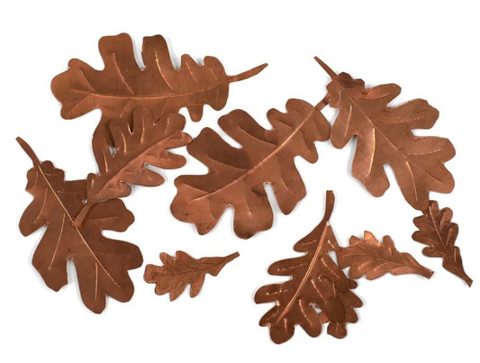 143  Cassini Leaves