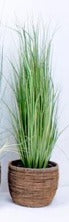 106. Grasses 36"