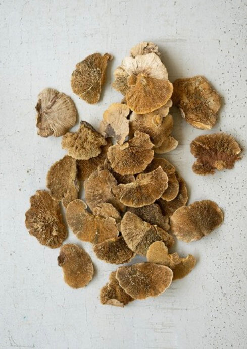 122  Mushrooms Bag of 48