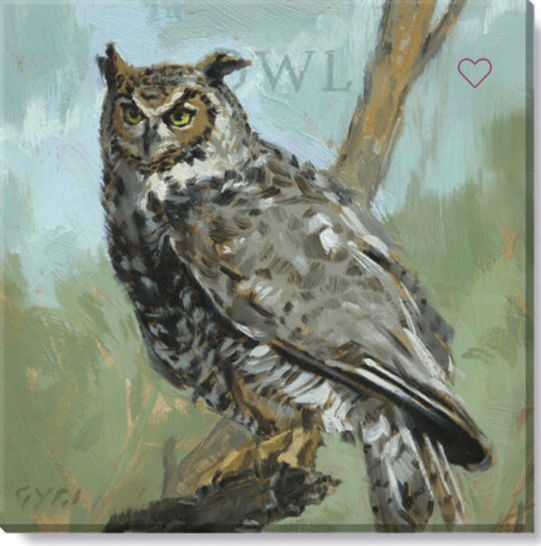 227.  Owl Giclee 5 x 5