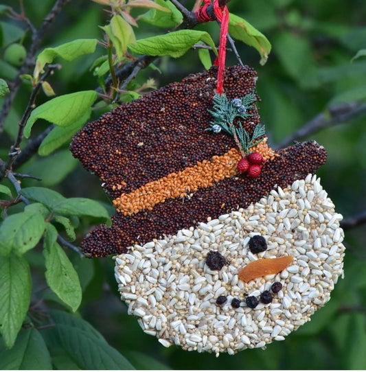 222. Snowman Cookie Seed