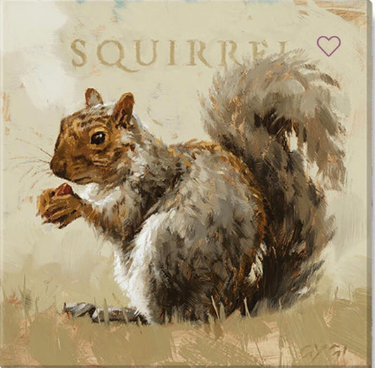 227. Squirrel Giclee 5 x 5